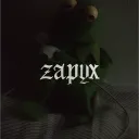 Server icon for /zapyx #300