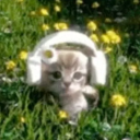 ༻𝒞𝓉𝓇𝓁 𝒻𝓇𝑒𝒶𝓀𝓈༺ Discord server icon