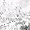 ᥫ᭡ Emma’s Eden