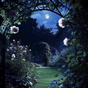 ⁺ৎ☁・.1diotic.´s Endless Garden・ৎ✧⁺ Discord server icon