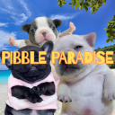 PIBBLE PARADISE Discord server icon
