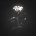 𝑨𝒏𝒈𝒆𝒍𝒔 𝑫𝒐𝒎𝒂𝒊𝒏