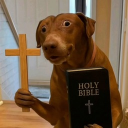 Indian Scammmers Association Discord server icon