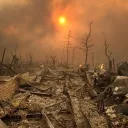 Warrior Cats | Ashen Solstice