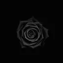 Hollow