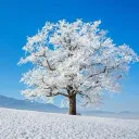 Winter | Hooking