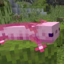 Royaume Axolotl