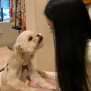 Make Adorable Great Again