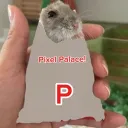 Pixel Palace server icon
