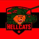 Hellcats internet safety group