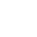 FIM Icon