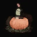 bel’s backyard 🎃
