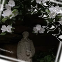 ⁺⟡˚₊ The Mansion ₊˚⟡⁺ Discord server icon