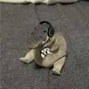 ឵឵឵឵