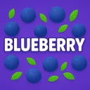 Blueberry Studio🫐