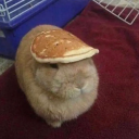 Weirdesia Discord server icon