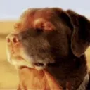 NRS | Changement de discord