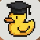 Data Duckies
