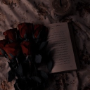 ༻𝙏𝙝𝙚 𝙮𝙖𝙣𝙙𝙚𝙧𝙚 𝙖𝙨𝙮𝙡𝙪𝙢༺ Discord server icon