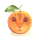 Platform Nine ୧ 。˖ ࣪🍊 Discord server icon