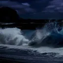 🌊The Lost Sea 🪼