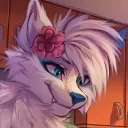 Frosty Furry Server(FFS)