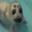 ʏᴜᴍᴇ ʙʀᴇᴀᴅ Discord server icon