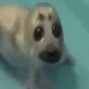 ʏᴜᴍᴇ ʙʀᴇᴀᴅ