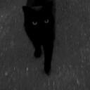 /shadow