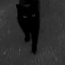 /shadow