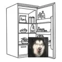max's kitchen