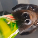 Quiet space Discord server icon