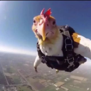 Velvet Mansion 🏵 Discord server icon