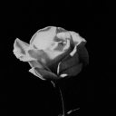 Discovery icon for decay　᭄᭡　•　VC　•　ѕocιαl　•　emojis　•　gaming　•　αcтιvε 　𓏴𓏴  ❜ Discord server