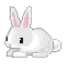 bunnies