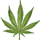 무규칙 Discord server icon