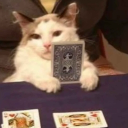 cards hub Discord server icon