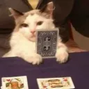 cards