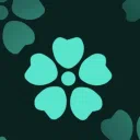 AVRORA 🍀