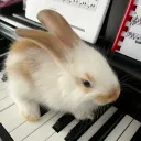 Bunny's Music Burrow ⋆.˚⟡ ࣪ ˖