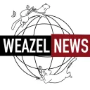Weazel News