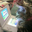 ৹▫. Multifandom's Cave •⋆ Discord server icon