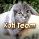 Koti Team | PUB