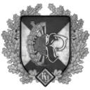 RG-Fieldpolice Academy