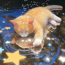 ᰔ・︴ the milky way ｡°✧