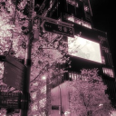 ⋆｡‧˚ʚ𝐇𝐞𝐚𝐯𝐞𝐧𝐢𝐞𝐥ɞ˚‧｡⋆ Discord server icon