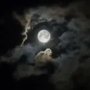 DarkClan : The Whispering of the Moon