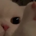 Thεrapy