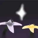 Shadows of Blooming Light