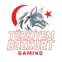 Türkiyem Bozkurt Gaming